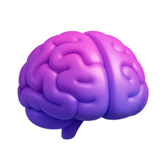3d brain