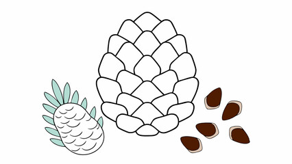 Pine Cone, Seeds, and Sprig - Line Art Illustration