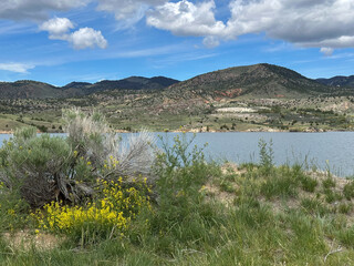 Scenic view of a serene mountain lake surrounded by rolling hills and rugged terrain under a partly cloudy sky. In the foreground, vibrant yellow wildflowers bloom beside weathered sagebrush, adding c