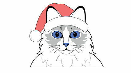 Cute Ragdoll Cat in Santa Hat