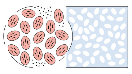 Abstract Pattern Transition from Random to Ordered Arrangement