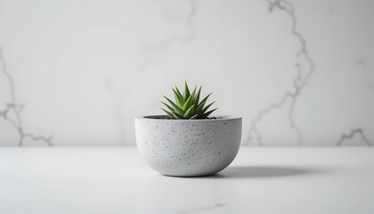 Macro image of a modern concrete planter with a small succulent, white background, clean aesthetic