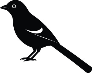 Obraz premium Black Bulbul silhouette vector art illustration and minimal black and white design