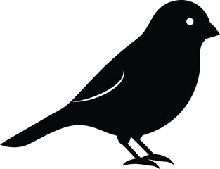 Canary silhouette vector art illustration and minimal black and white design
