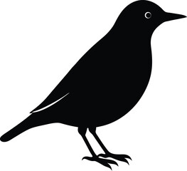 Common Starling Bird silhouette vector art illustration and minimal black and white design