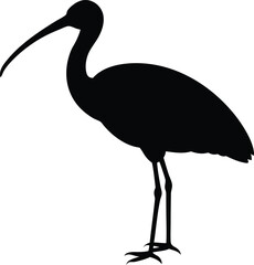 Roseate Spoonbill silhouette vector art illustration and minimal black and white design