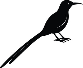 Rufous Tailed Jacamar silhouette vector art illustration and minimal black and white design