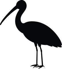 Spoonbill Bird silhouette vector art illustration and minimal black and white design