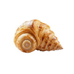 Obraz premium Close-up of a Single Spiral Seashell with Intricate Texture and Warm Brown Hues