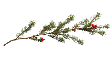 Festive Pine Branch with Red Berries Winter Holiday Decoration Nature