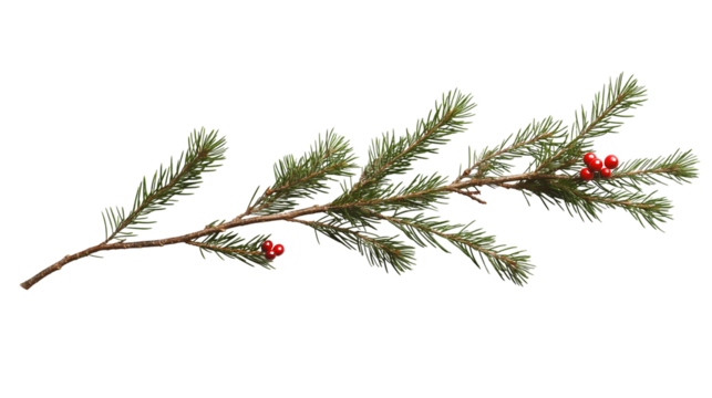 Festive Pine Branch with Red Berries Winter Holiday Decoration Nature