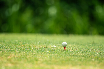 A golf ball is sitting on a tee on a grassy field