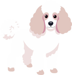 Poodle vector 
