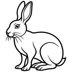 a hare isolated on white background