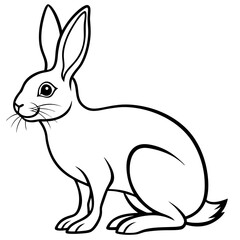 a hare isolated on white background