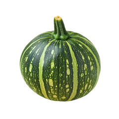 Single Round Green Zucchini with Stripes and Speckles on Black Background