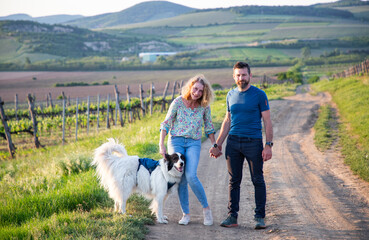 happy couple with dog walking in vineyard at sunset