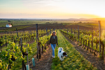 woman walking in vineyard at sunset
