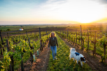 woman walking in vineyard at sunset