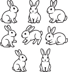 Set of bunny