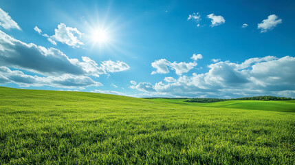 Fototapeta premium Bright Green Fields Under Blue Sky