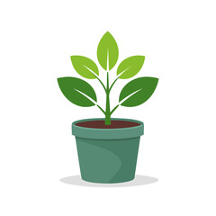 Green plant growing in a pot on a white surface against black backdrop depicting environmental care and indoor gardening, botanical growth concept