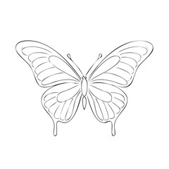 Fototapeta premium Elegant Butterfly Line Art on Black Background Insect Wildlife Nature Design