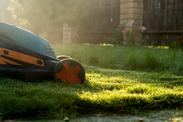 Freshly cut thick grass on the lawn, sunny day at sunset, low angle view. Green grass in the...