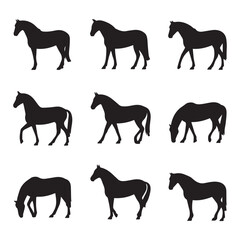 Nine elegant horse silhouettes showcase equine grace and beauty ideal for equestrian designs farm illustrations and animal artwork.