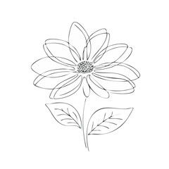 Minimalist White Flower Outline Drawing with Leaves on Black Background Elegant Botanical Art Design