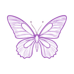 Elegant Purple Butterfly Illustration Delicate Wing Pattern Isolated on Black Background