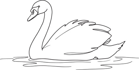 Elegant Swan Line Drawing Graceful Waterbird Illustration