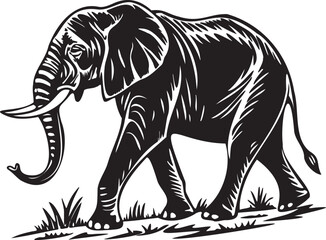 Majestic african elephant walking silhouette