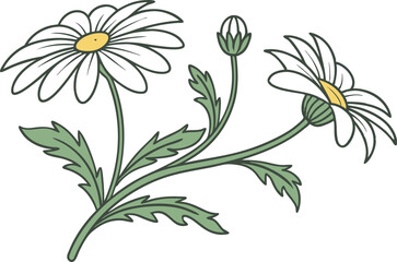 Daisy Flower Illustration Design. Hand Drawn Daisy Flower Art. Beautiful Daisy Blossom Drawing. Elegant Daisy Flower Composition. Colorful Daisy Floral Artwork. Flat Style Daisy Flower Design