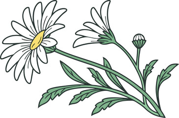 Daisy Flower Illustration Design. Hand Drawn Daisy Flower Art. Beautiful Daisy Blossom Drawing. Elegant Daisy Flower Composition. Colorful Daisy Floral Artwork. Flat Style Daisy Flower Design