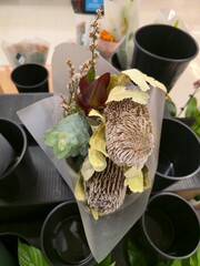 Banksia Bouquet on Table Still Life