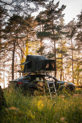 A modern SUV with a foldable rooftop tent and ladder is parked in a forest clearing. Tall pine trees and golden sunlight create a serene outdoor scene.