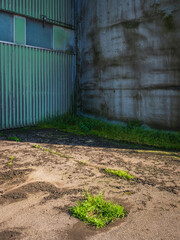 Industrial buildings in Sweden showcasing weathered textures and neglected ground vegetation in a quiet urban setting