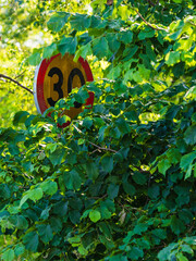 Hidden speed limit sign partially obscured by lush foliage along a road in Sweden during daylight
