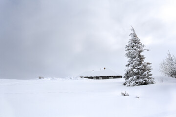 Snowy path with footprints in snow following to the house near the fir in winter after snowfall