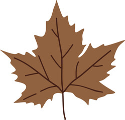 Autumn Leaves Illustration