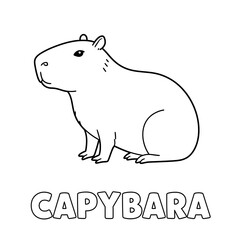 Obraz premium Coloring picture of animal. Learning book for kids. Drawing picture for kids