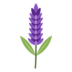 flower vector icon