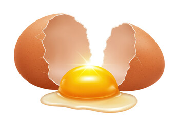 Isolated Cracked Egg with Yolk
