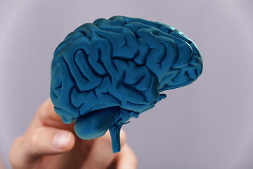 High-quality image of a detailed human brain model. Perfect for medical, science, or educational...