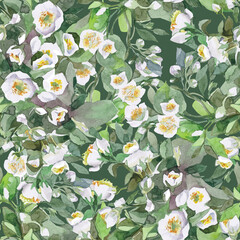 seamless pattern with jasmine white flowers and green leaves