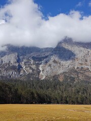 Spruce Meadow in Jade Dragon Mountain Park from Lijiang, Yunnan Province with a snow-capped...
