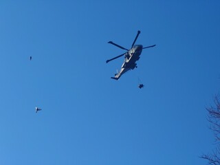 sling loading helicopter and birds