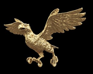 Gold eagle in flight