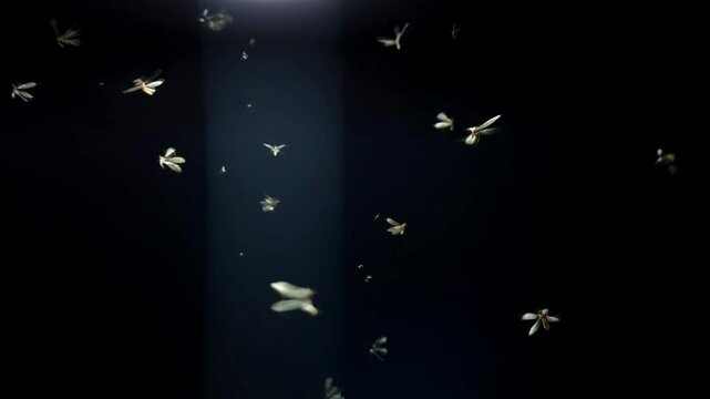 Creepy swarm of flying insects and glowing yellow fireflies near an LED light create a haunting overlay against the dark night&mdash;perfect for real insect wildlife scenes or spooky Halloween backgrounds.